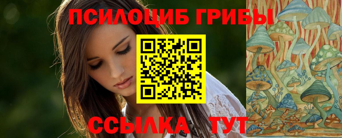 Псилоцибиновые грибы Cubensis Лангепас